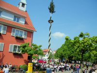 Maibaumaufstellung 2009 054_qg